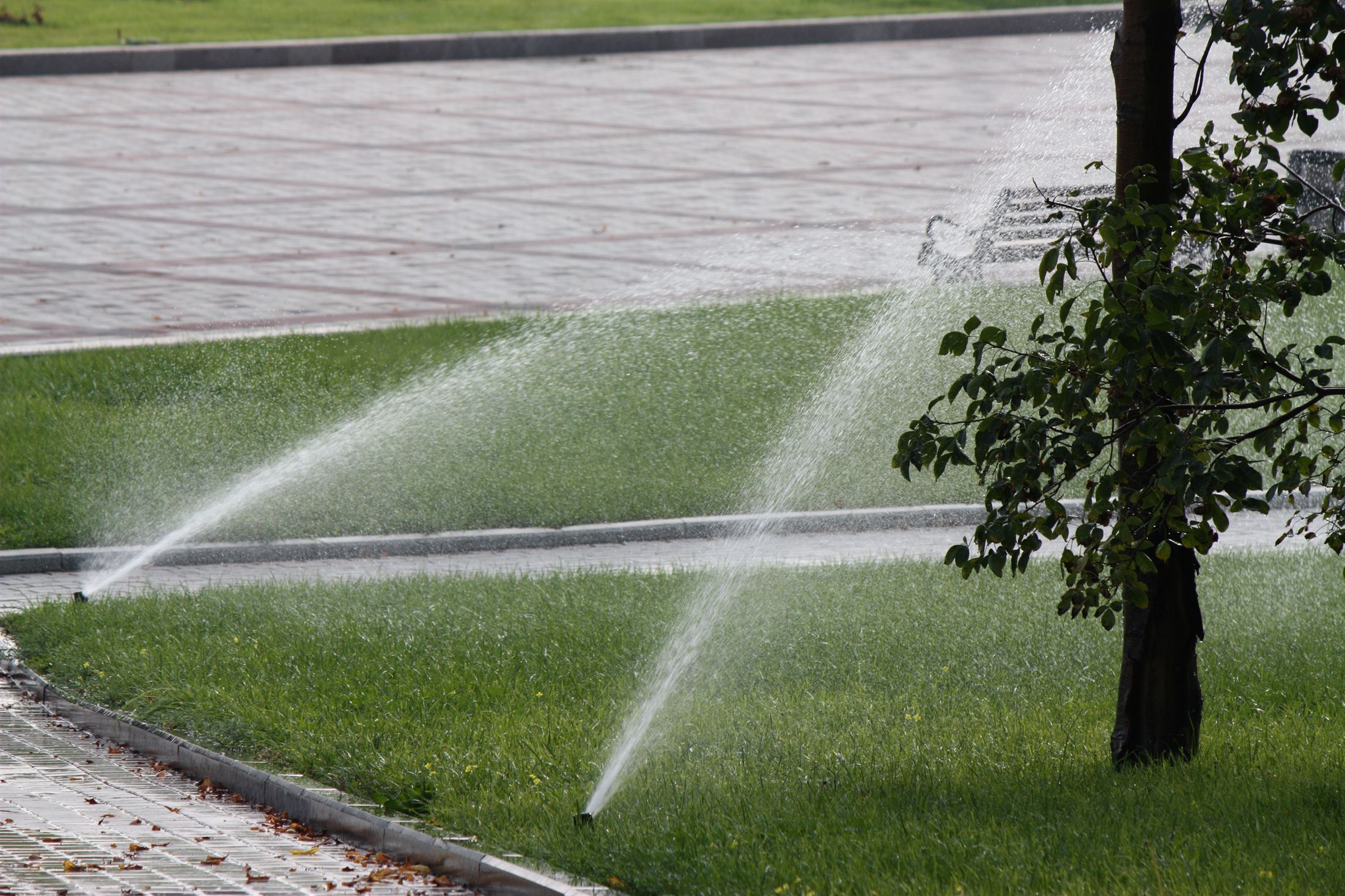 Парк Ленінського Комсомолу, фото 8